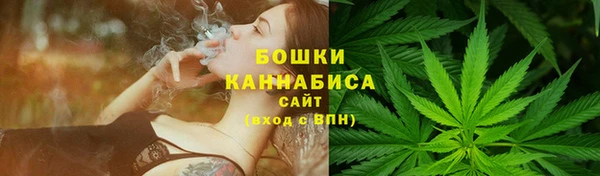 тгк Белокуриха