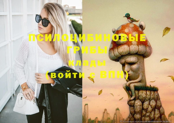 ГАЛЛЮЦИНОГЕННЫЕ ГРИБЫ Беломорск