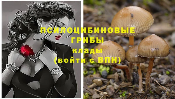 ГАЛЛЮЦИНОГЕННЫЕ ГРИБЫ Беломорск